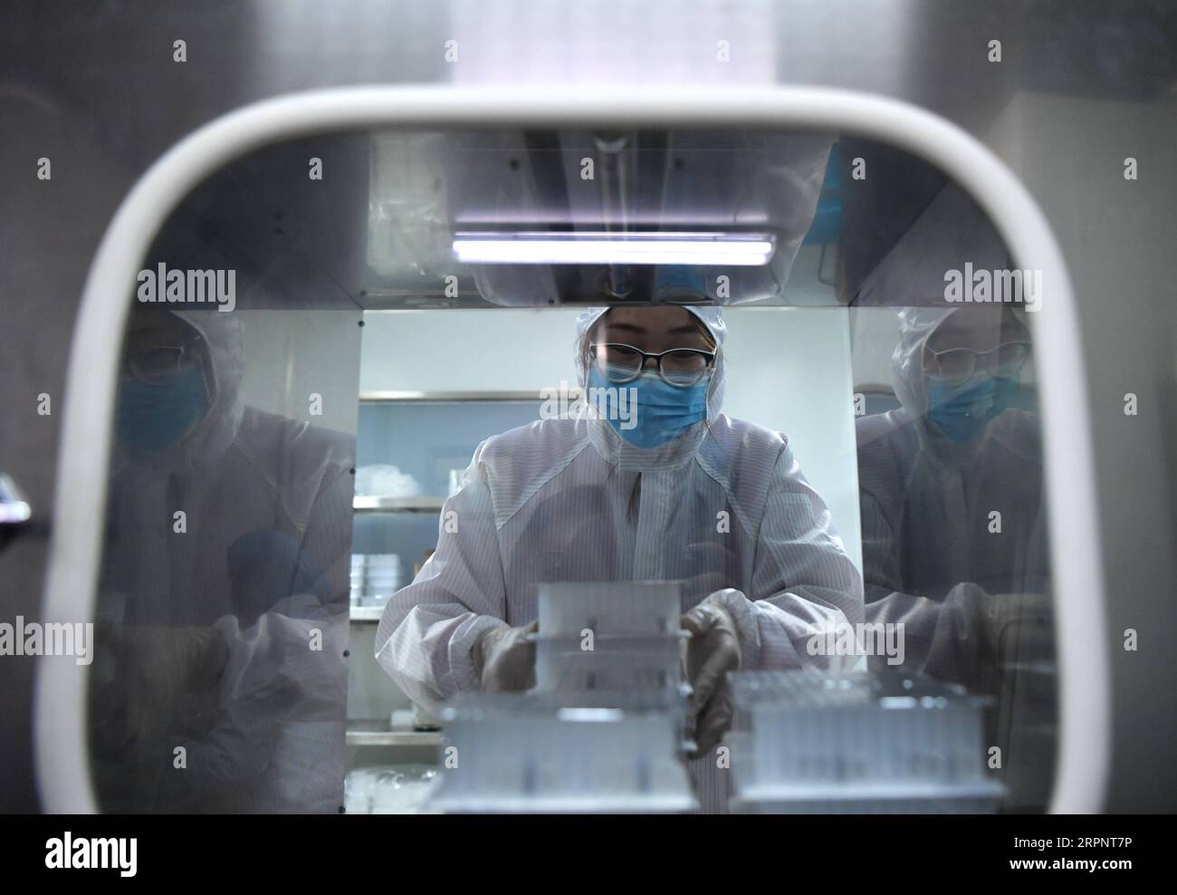 200304 -- LUOYANG, March 4, 2020 -- A staff passes nucleic acid test kit at the plant of Luoyang Ascend Biotechnology Co., Ltd in Luoyang, central China s Henan Province, March 4, 2020. In order to help combat the novel coronavirus epidemic, the company is at its full capacity producing nucleic acid test kits.  CHINA-HENAN-NUCLEIC ACID TEST KIT-PRODUCTION CN LixJianan PUBLICATIONxNOTxINxCHN Stock Photo