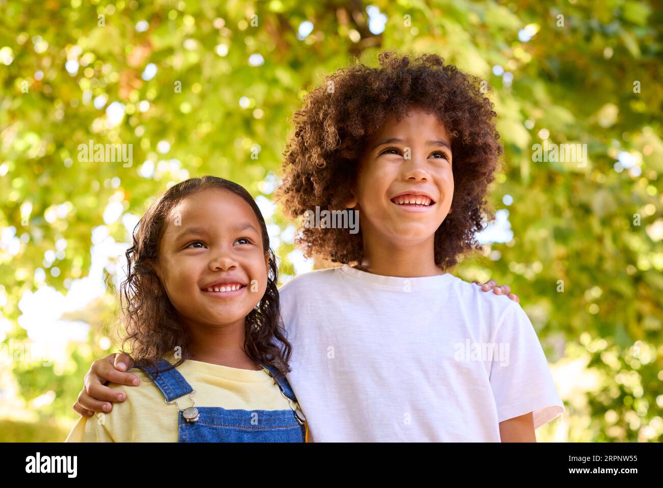 Portrait of sister and brother hugging in the park hi-res stock ...