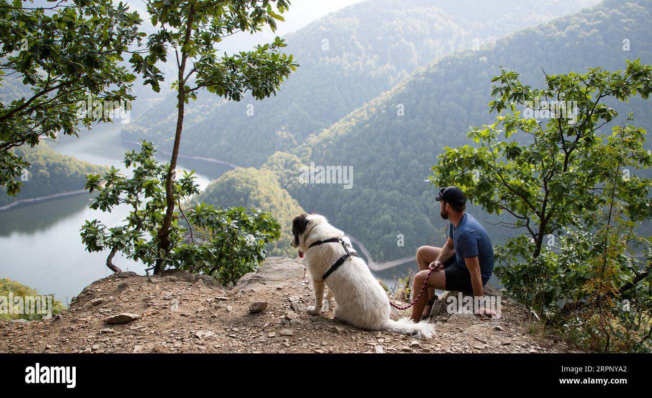 Dog on mountain hi-res stock photography and images - Alamy