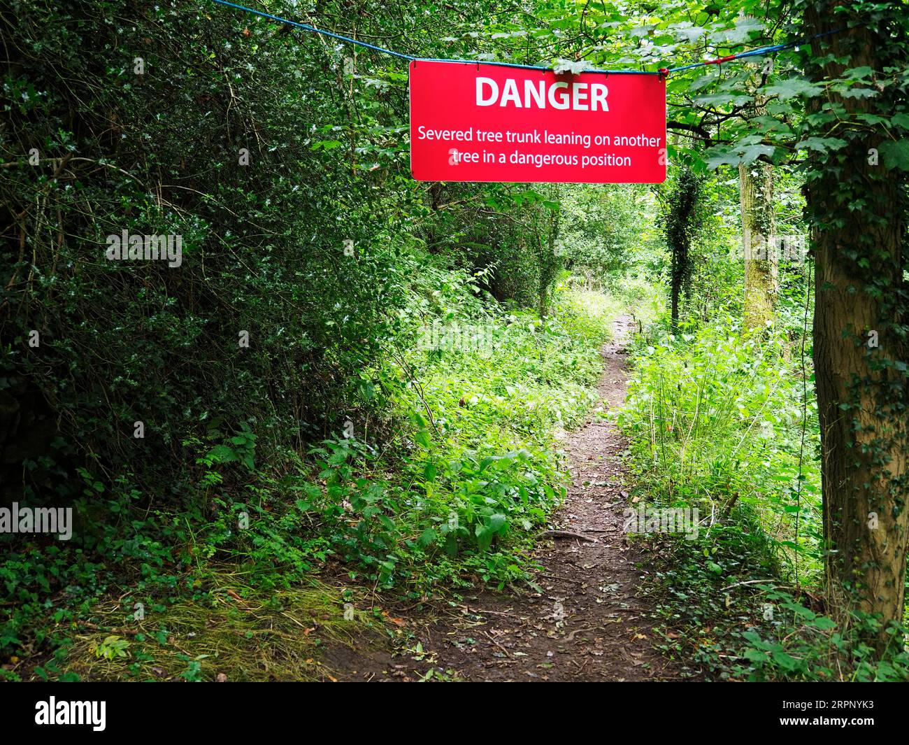Red danger sign over the Nidderdale Way in woodland along Fell Beck near Summerbridge Nidderdale North Yorkshire England Stock Photo