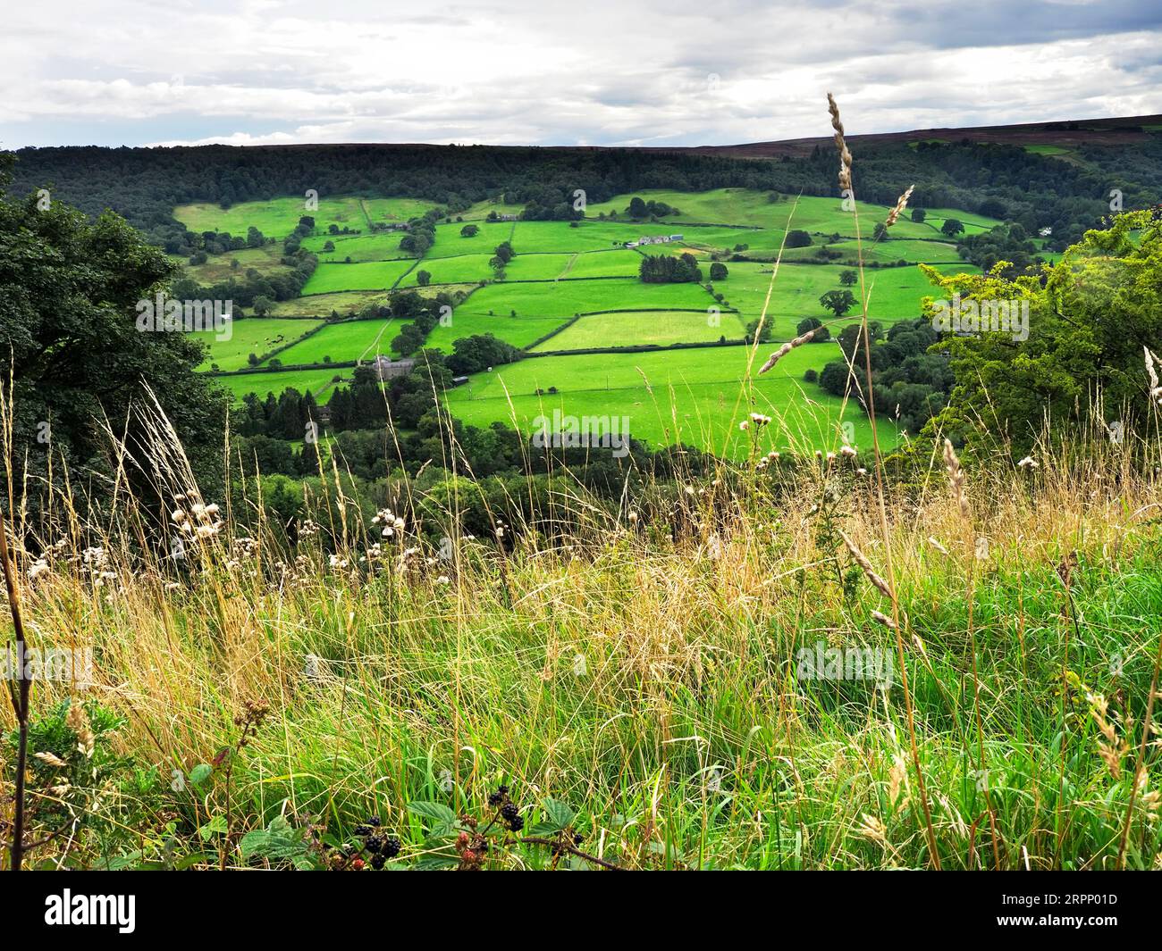 View across Nidderdale to Guise Cliff along the Panorama Walk part of the Nidderdale Way near Pateley Bridge Nidderdale North Yorkshire England Stock Photo