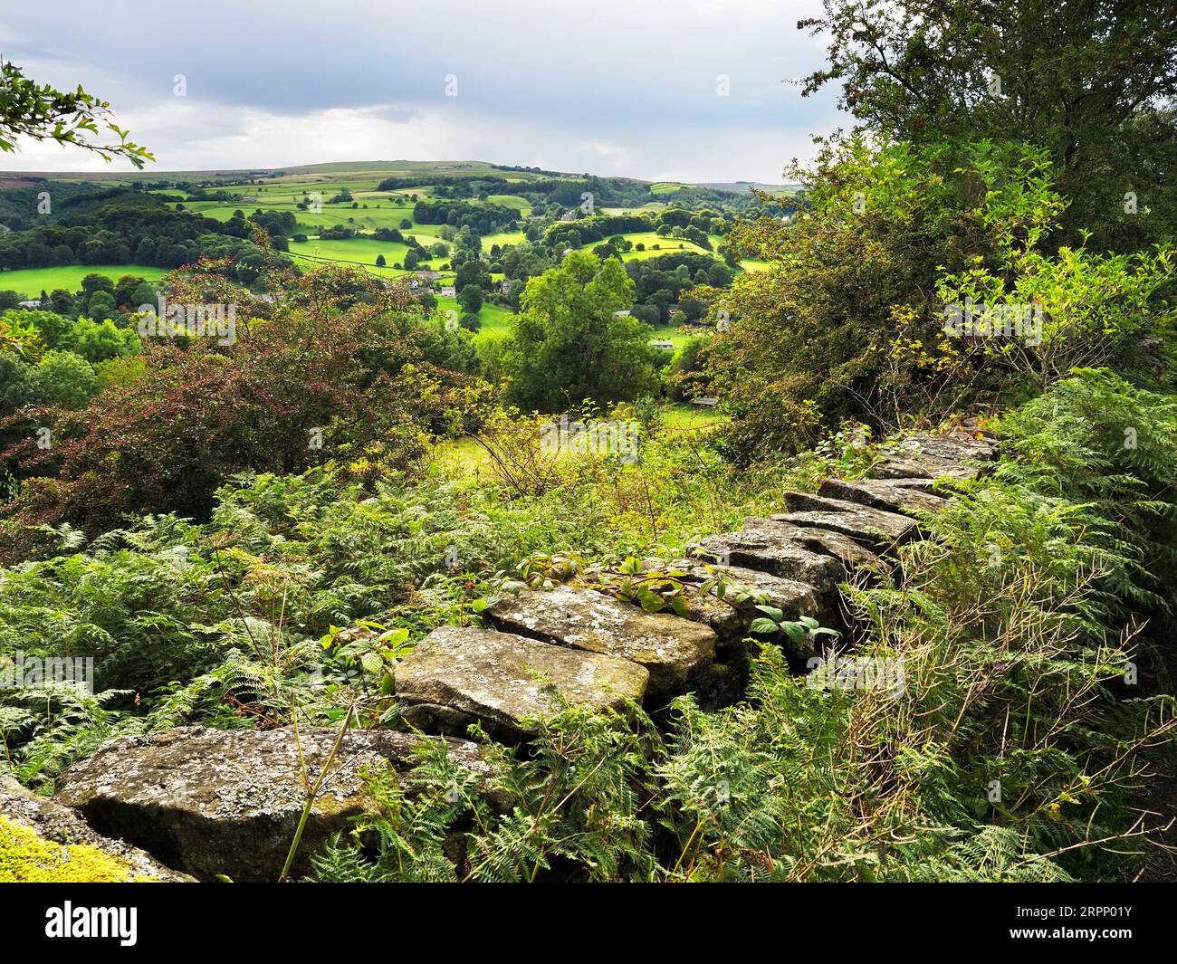 View across Nidderdale to Guise Cliff along the Panorama Walk part of the Nidderdale Way near Pateley Bridge Nidderdale North Yorkshire England Stock Photo