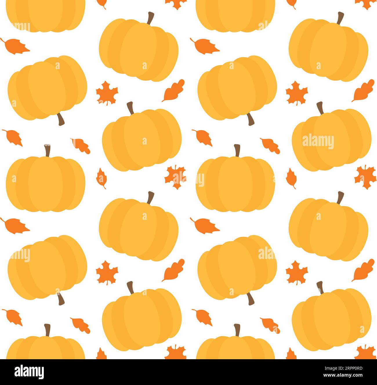 Vector seamless pattern of flat pumpkins and leaves isolated on white ...