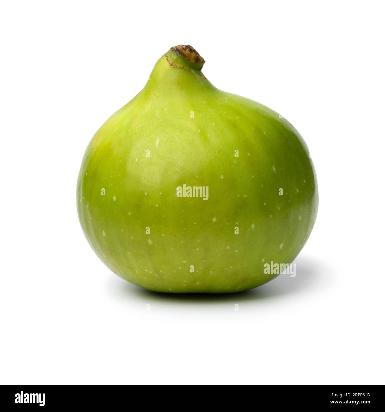 Single fresh green fig isolated on white background close up Stock Photo