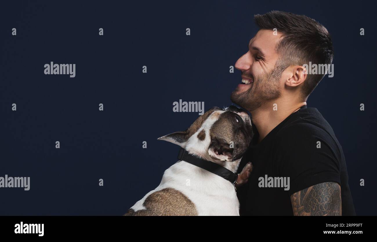 Bearded Guy Plays With French Bulldog Stock Photo