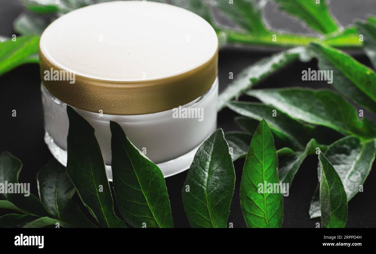 spa cream and green leaves on dark background Stock Photo