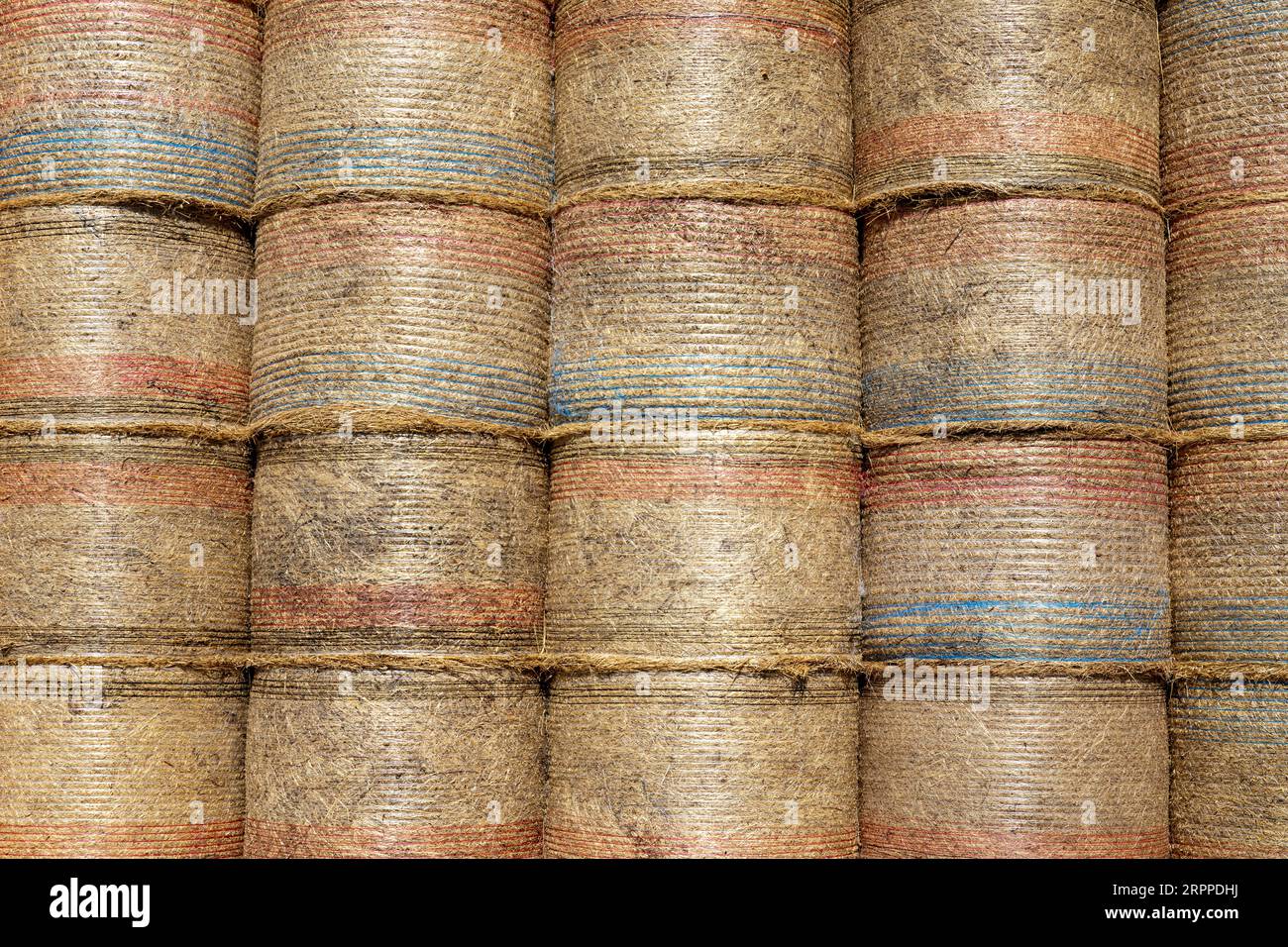 Stacked round yellow hay bales tightly bound in red, white and blue plastic threading in the italian village of Santo Stefano. Stock Photo