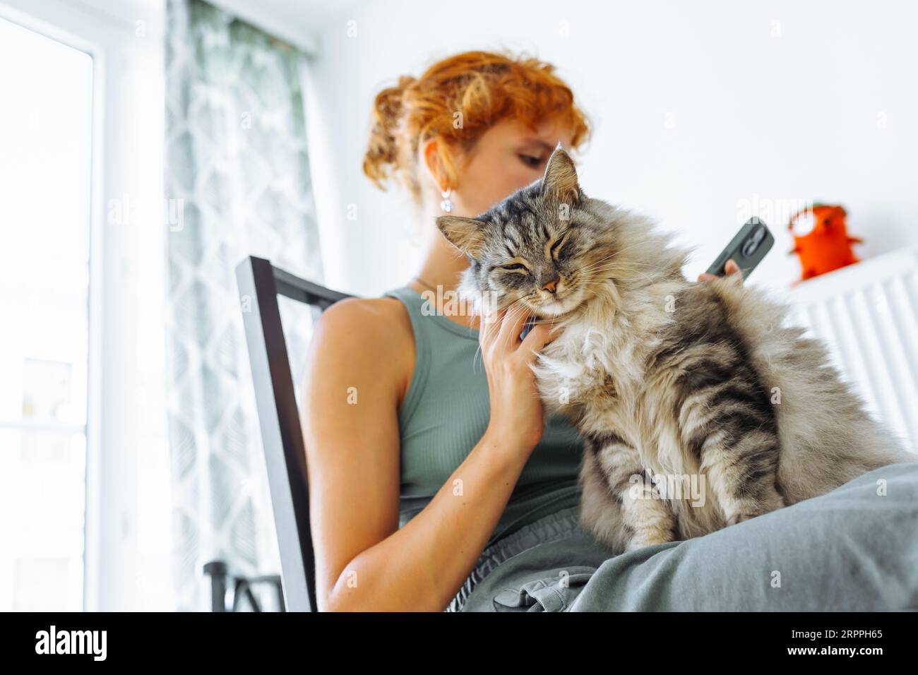 Spending Time With Your Cat