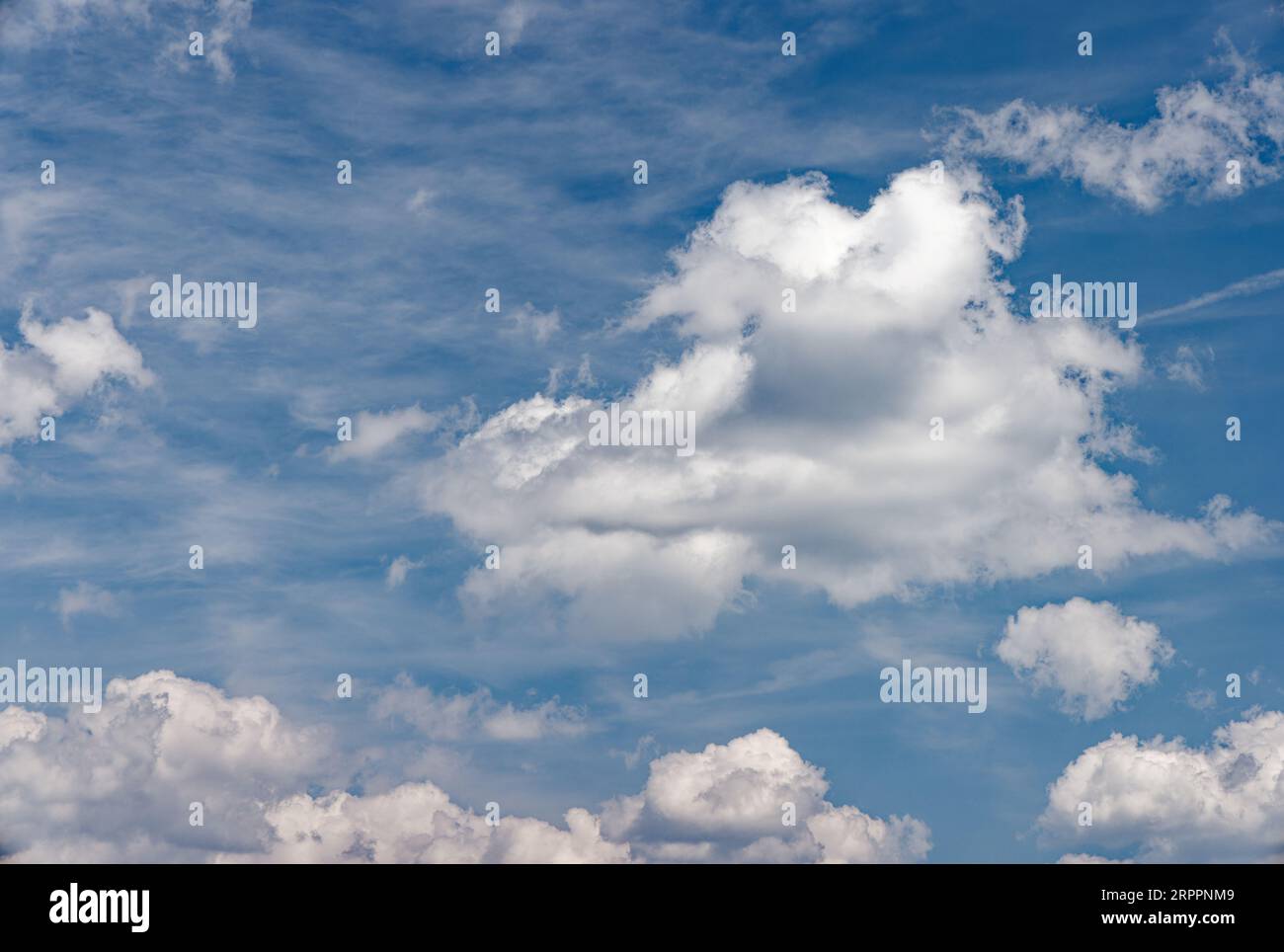 Thin hi res hi-res stock photography and images - Alamy