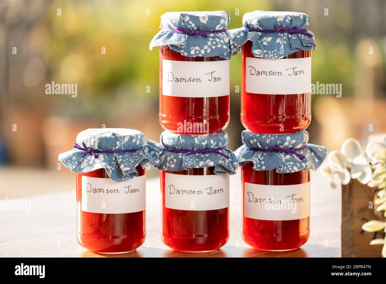 Jars of homemade  Damson jam. The glass jars have clear handwritten labels and the jars have a cloth topping. Stock Photo
