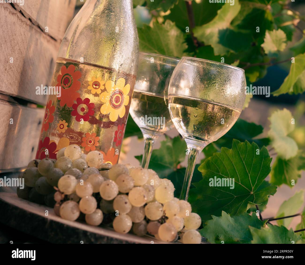 Bottle of wine and 2 glasses hi-res stock photography and images - Alamy