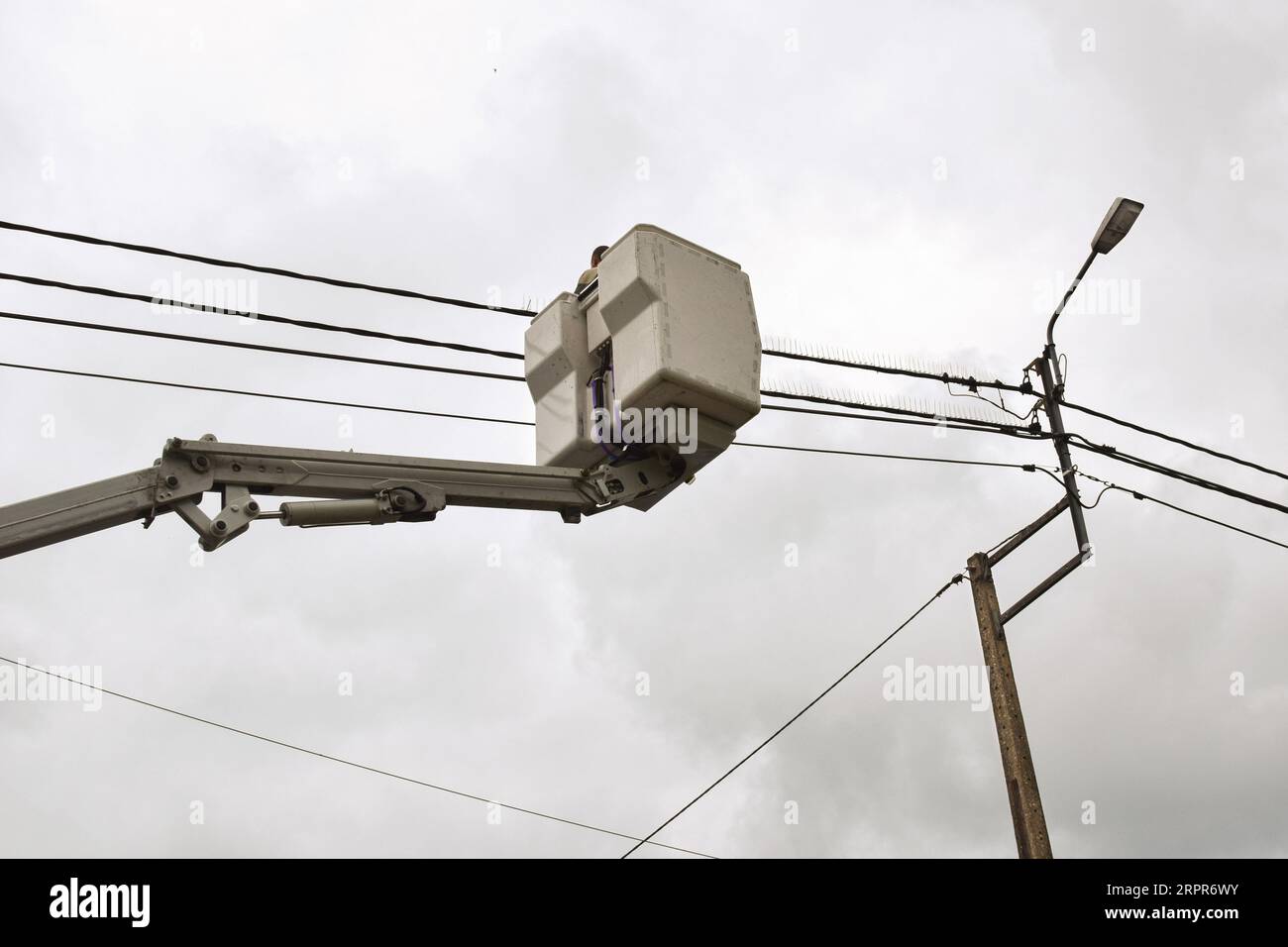 Worker in a bucket of a hydraulic boom bucket truck attaching antibird