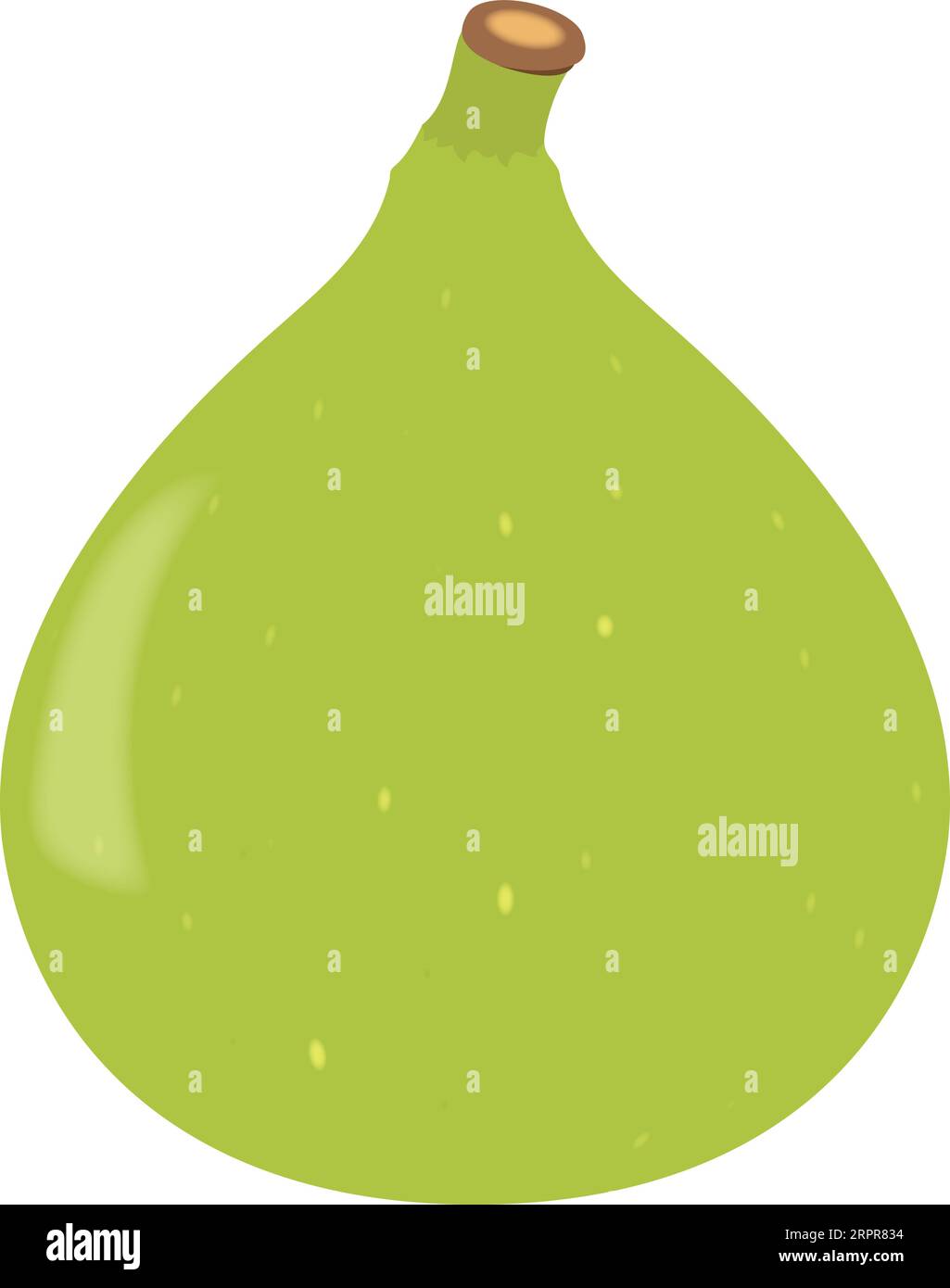 Fig Stock Vector Images Alamy