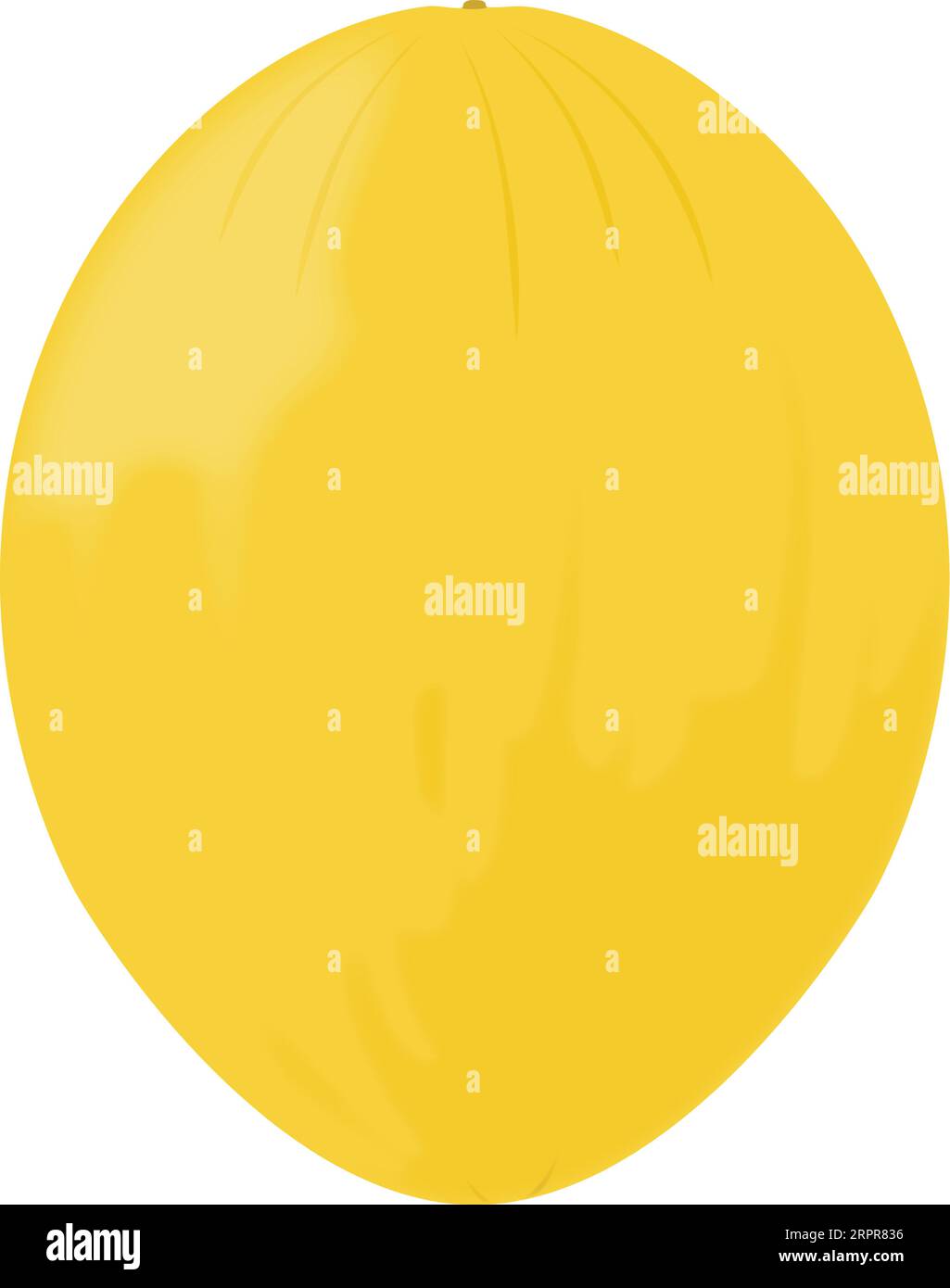 Single Whole Canary Melon Stock Vector