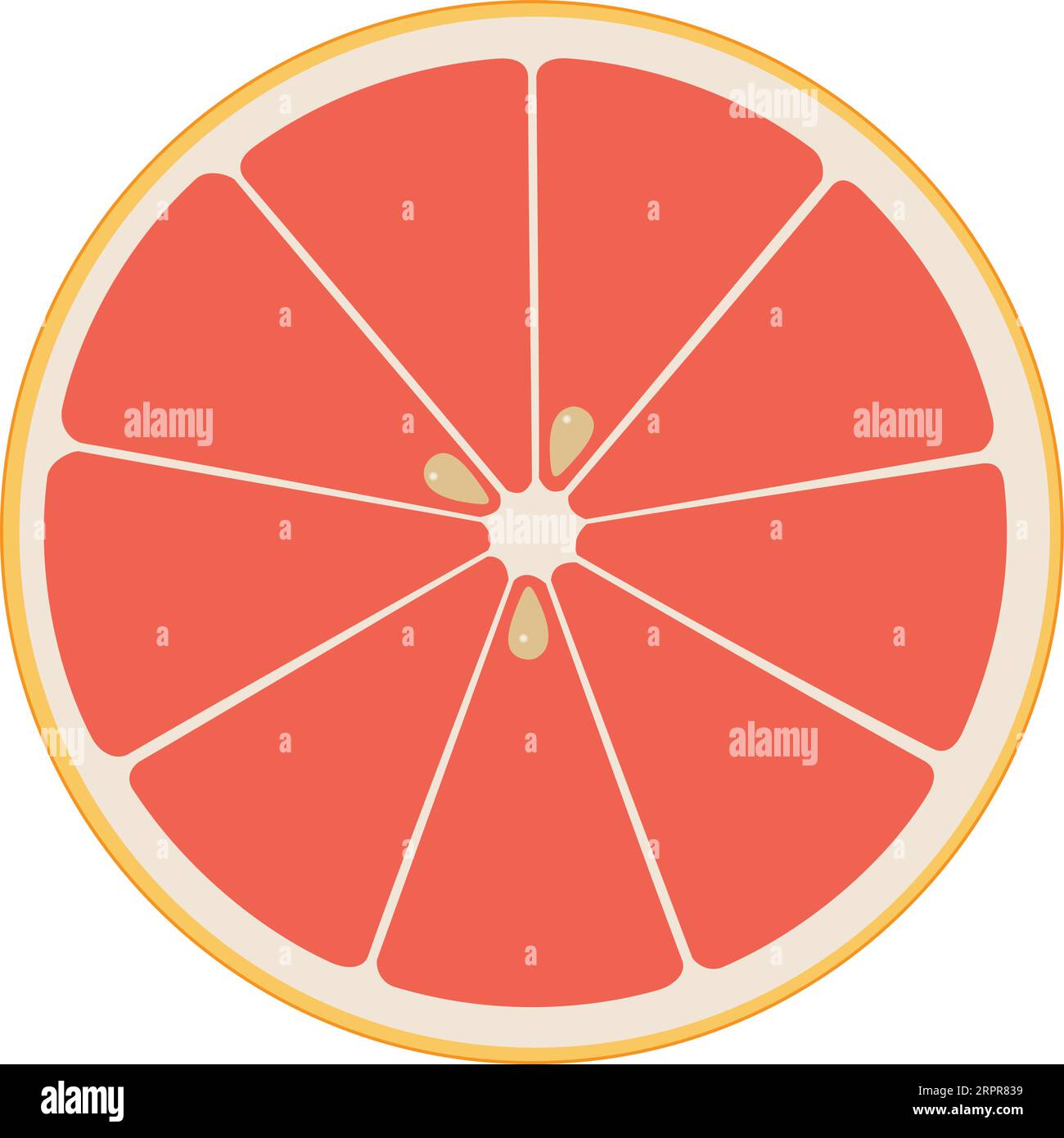 Ruby Red Grapefruit Cut In Half Stock Vector