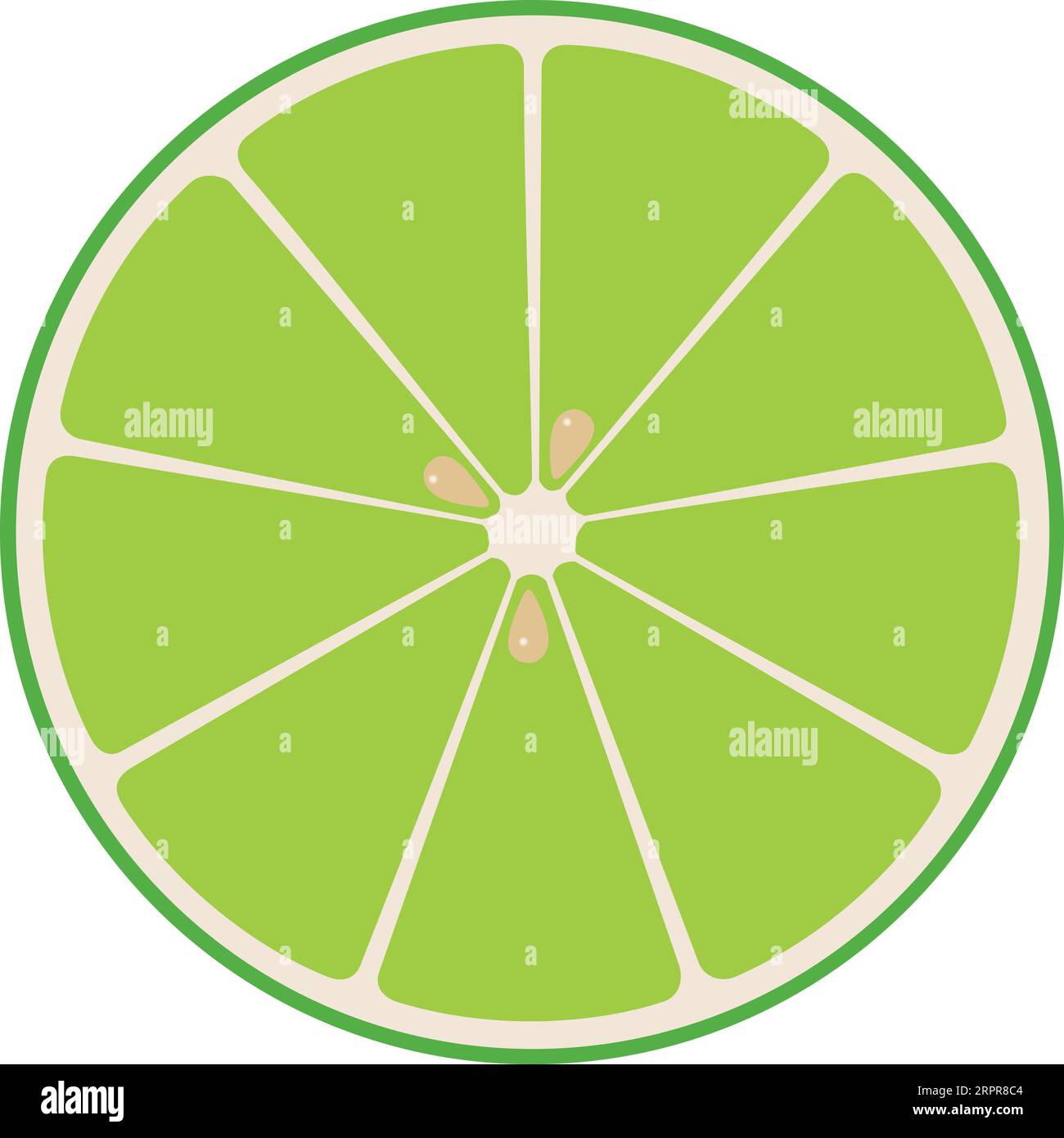 Slice Of Lime Stock Vector