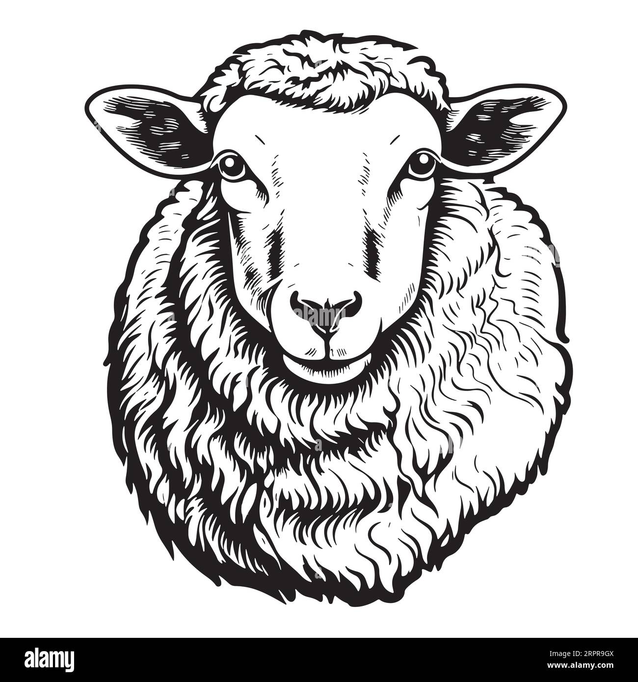 Mountain sheep face hand drawn sketch Vector Stock Vector