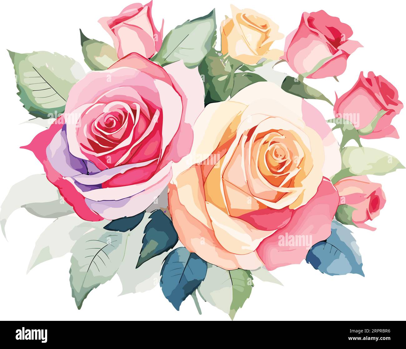 watercolor  Rose bouquet, floral illustration, leaves, and buds. Botanic composition for a wedding or greeting card. branch of flowers Stock Vector