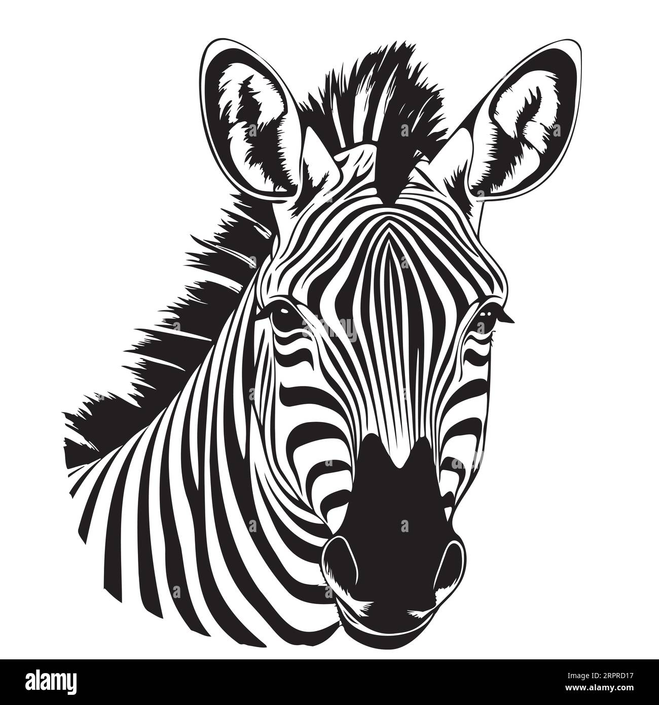 Horse sketch hires stock photography and images Alamy