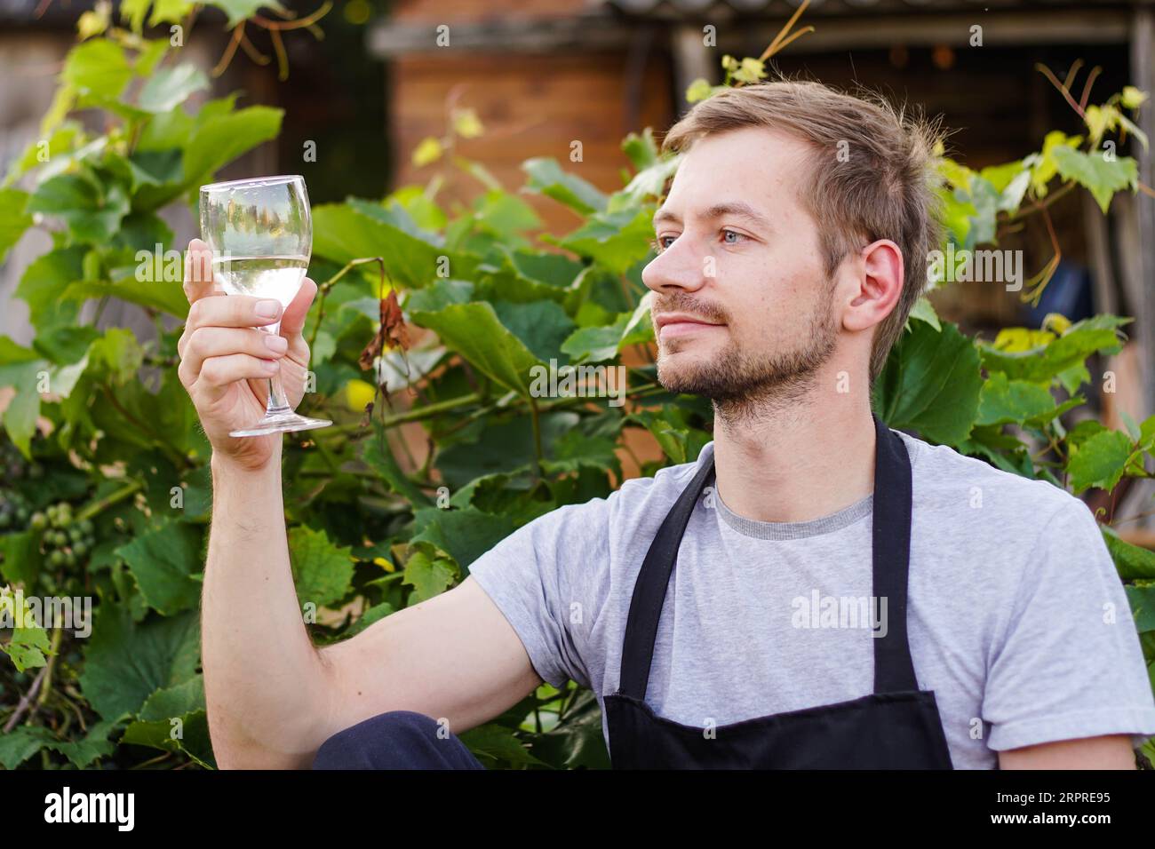 Portrait of young man winemaker checking the white wine quality on the vineyard during a sunset. Small business concept Stock Photo