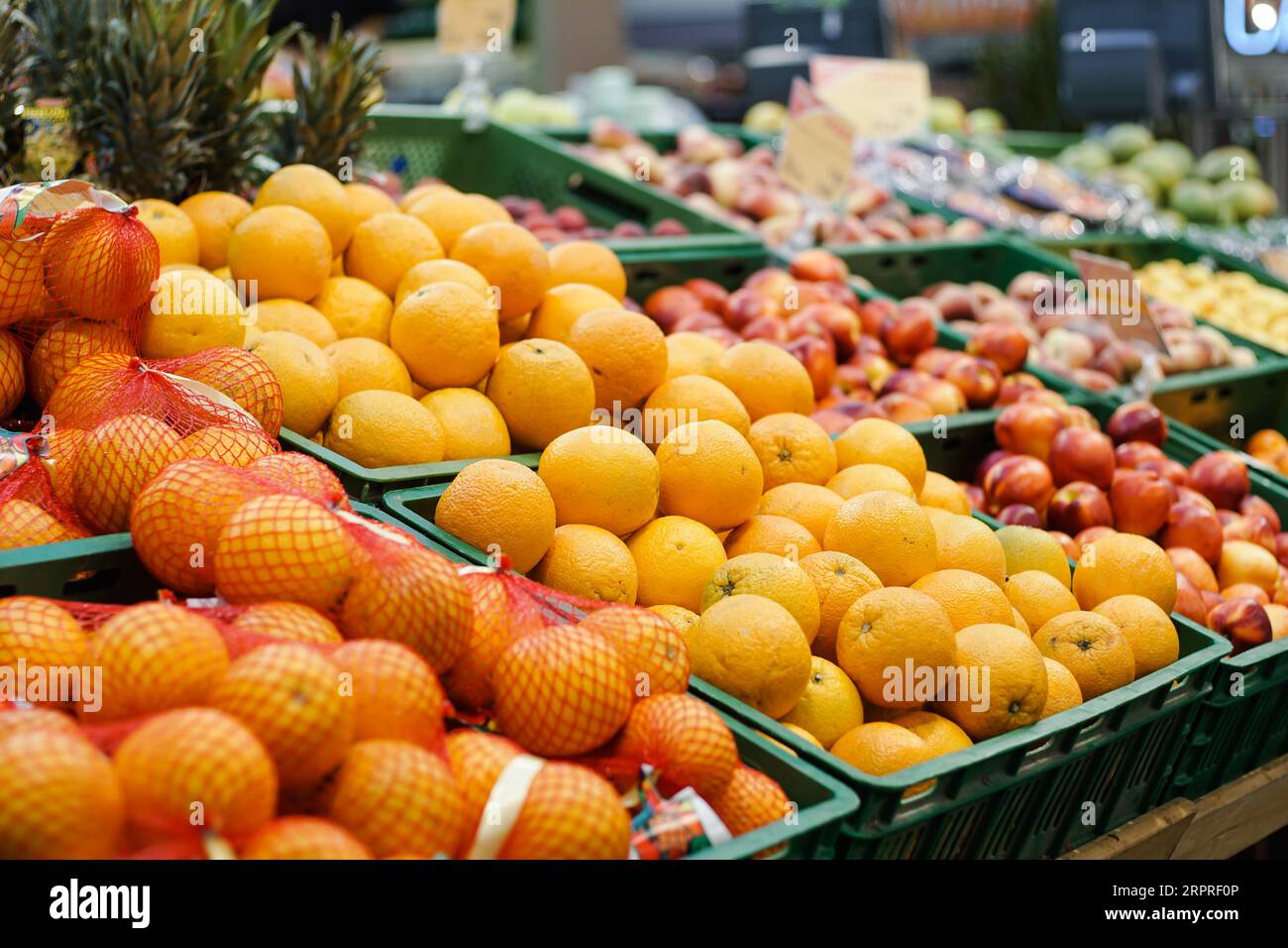 https://c8.alamy.com/comp/2RPRF0P/shelf-with-fresh-healthy-fruits-in-supermarket-2RPRF0P.jpg