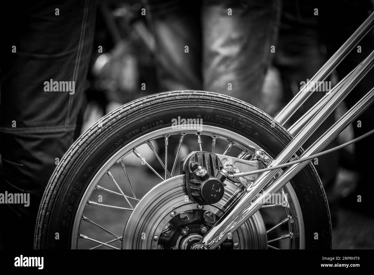 A closeup shot of a motorcycle featuring its front wheel assemblies