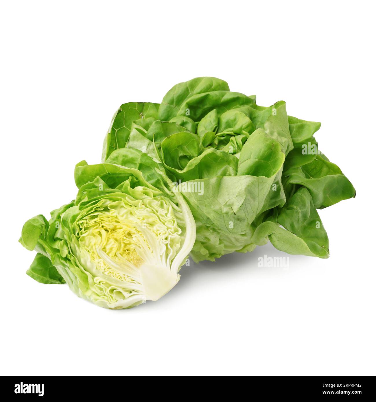 Fresh Boston lettuce on white background Stock Photo - Alamy