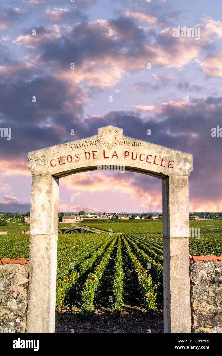 Puligny Montrachet Clos de la Pucelle Premier Cru vineyard sunset, stone entrance framing vines Puligny Village in b/g, Cote d’Or, Burgundy, France Stock Photo