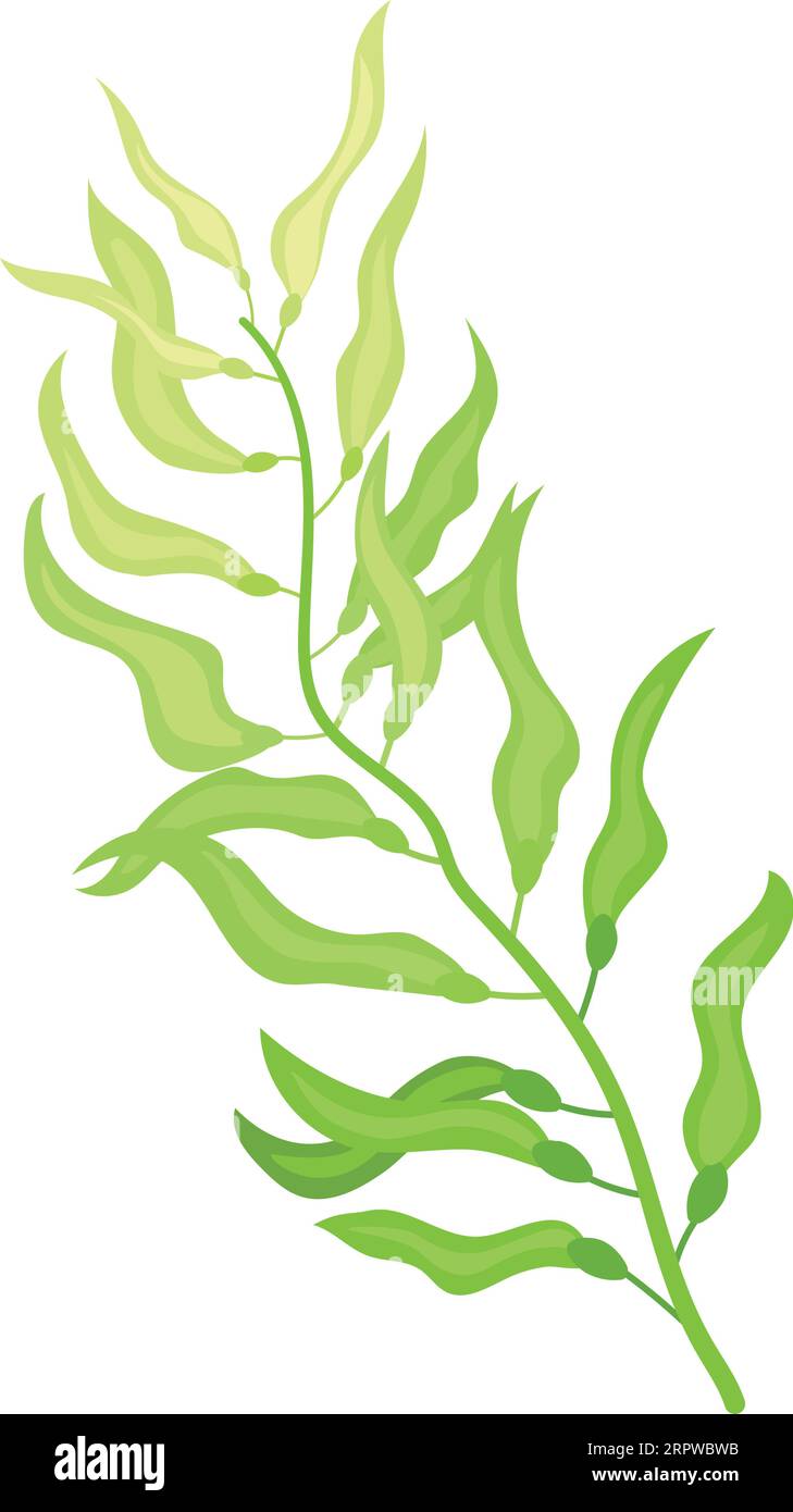 Green algae cartoon icon. Aquatic nature plant Stock Vector