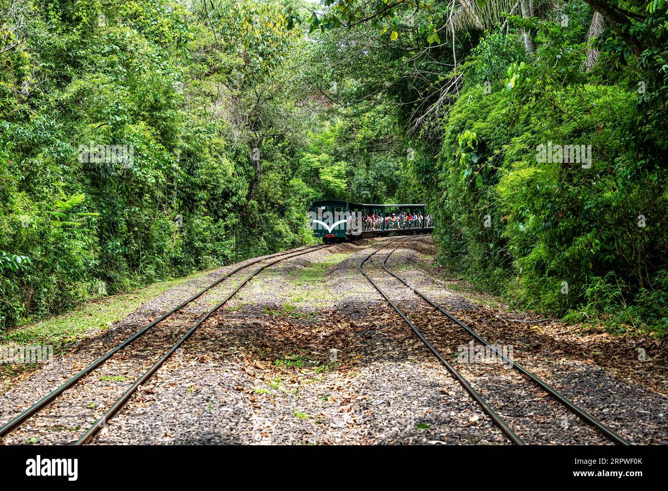 Rainforest Ecological Train at Iguazu Falls National Park in Argentina. Train between stations inside the Puerto Iguazu national park. Tourists cross Stock Photo