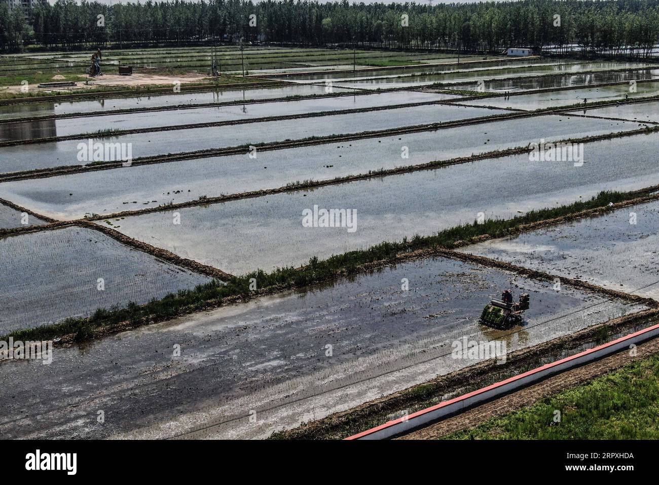 200524 -- PANJIN, May 24, 2020 -- A transplanter works to plant rice seedlings in Dawa District in Panjin City, northeast China s Liaoning Province, May 24, 2020. Rice transplanting of over 1.59 million mu about 106,000 hectares paddy fields in Panjin, the main rice producing area in Liaoning, has started recently.  CHINA-LIAONING-RICE-TRANSPLANTING CN PanxYulong PUBLICATIONxNOTxINxCHN Stock Photo