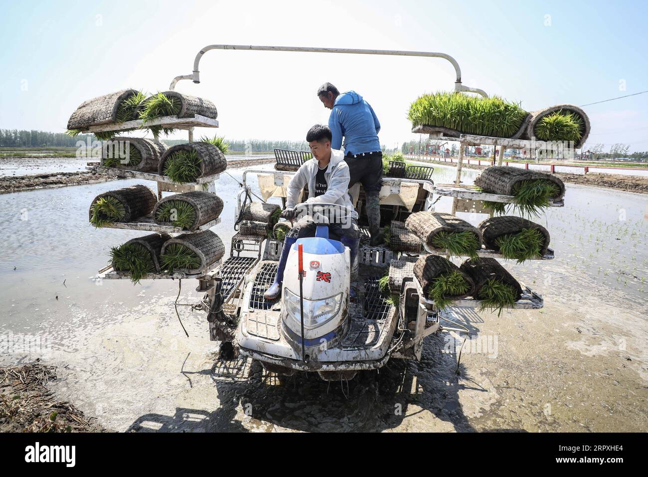 200524 -- PANJIN, May 24, 2020 -- Farmers operate a rice transplanter to plant rice seedlings in Dawa District in Panjin City, northeast China s Liaoning Province, May 24, 2020. Rice transplanting of over 1.59 million mu about 106,000 hectares paddy fields in Panjin, the main rice producing area in Liaoning, has started recently.  CHINA-LIAONING-RICE-TRANSPLANTING CN PanxYulong PUBLICATIONxNOTxINxCHN Stock Photo