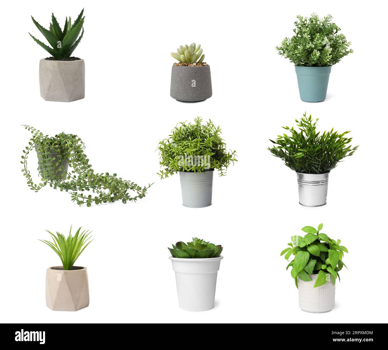 Set of artificial plants in flower pots isolated on white Stock Photo ...