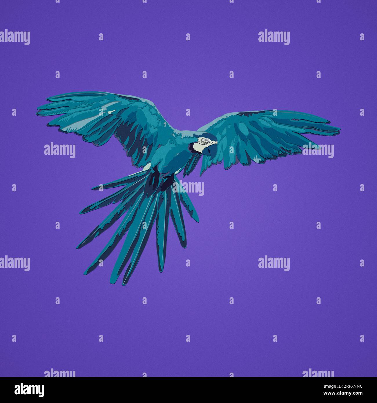 Creative animal concept - Artistic illustration of a macaw ...