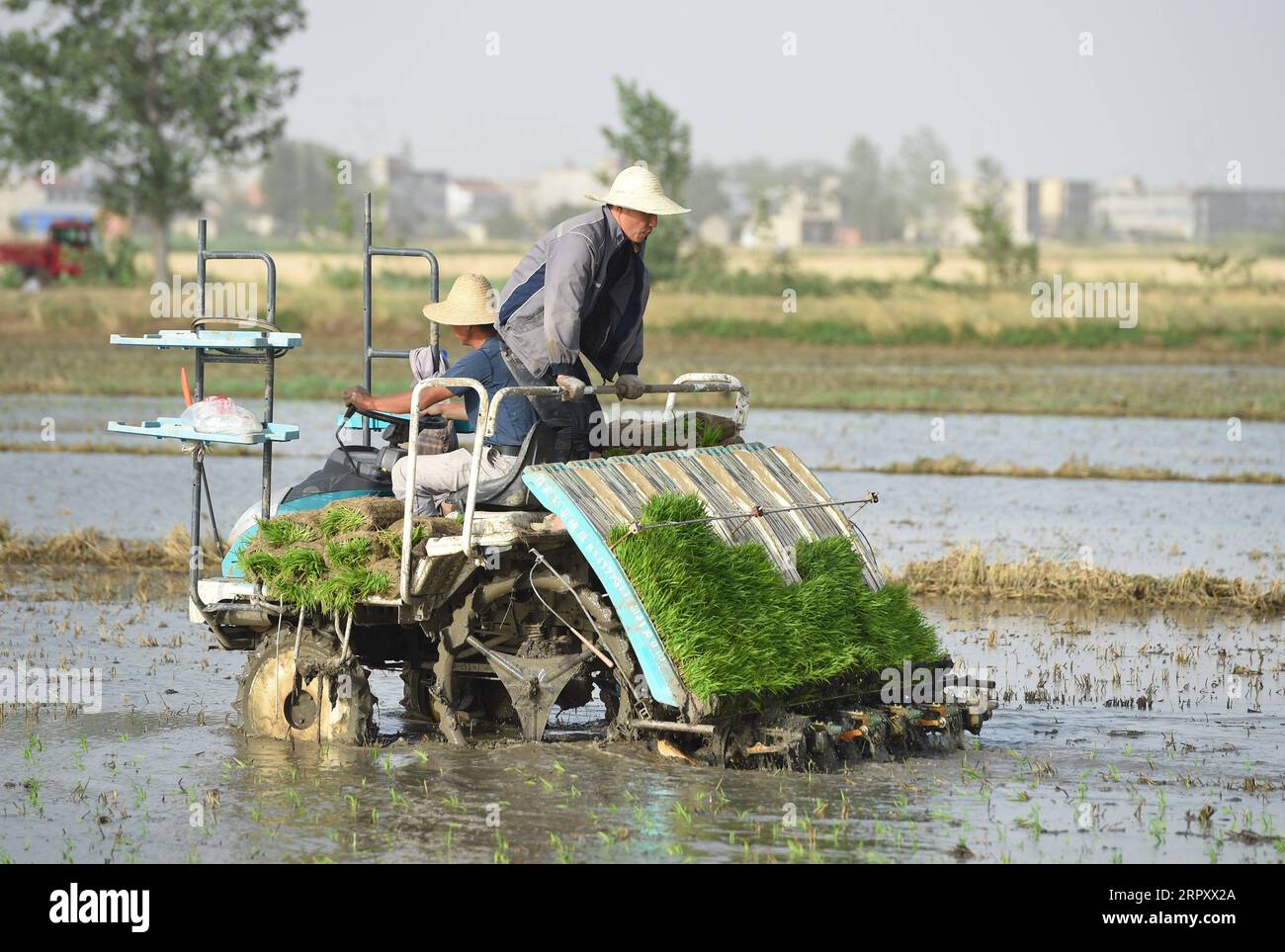 200604 -- HEFEI, June 4, 2020 -- Farmers operate a rice transplanter in an organic paddy field in Xiaqiao Township, Yingshang County, east China s Anhui Province, June 3, 2020.  CHINA-ANHUI-AGRICULTURE-RICE PLANTING CN ZhouxMu PUBLICATIONxNOTxINxCHN Stock Photo