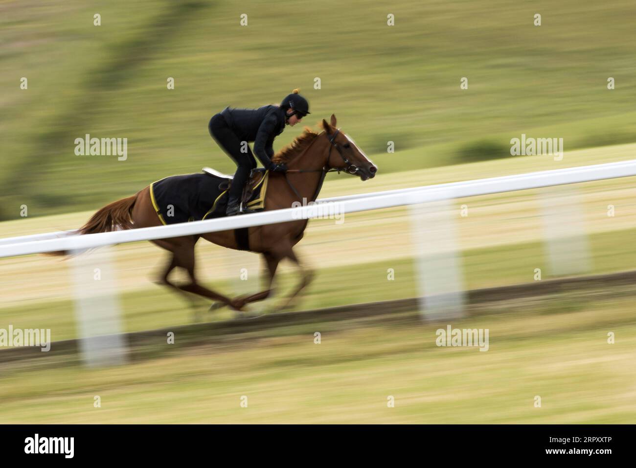 200605 -- KINGSCLERE, June 5, 2020 Xinhua -- A rider trains on the gallops at the Kingsclere Park House Stables, which are run by horse racing trainer Andrew Balding, in Hampshire, Britain on June 5, 2020. Horse racing behind closed doors has resumed gradually in Britain after the government eased some lockdown restrictions. Racing is taking place behind closed doors with strict measures taken to prevent the spread of coronavirus. Photo by Tim Ireland/Xinhua SPBRITAIN-KINGSCLERE-COVID-19-HORSE RACING-TRAINING PUBLICATIONxNOTxINxCHN Stock Photo
