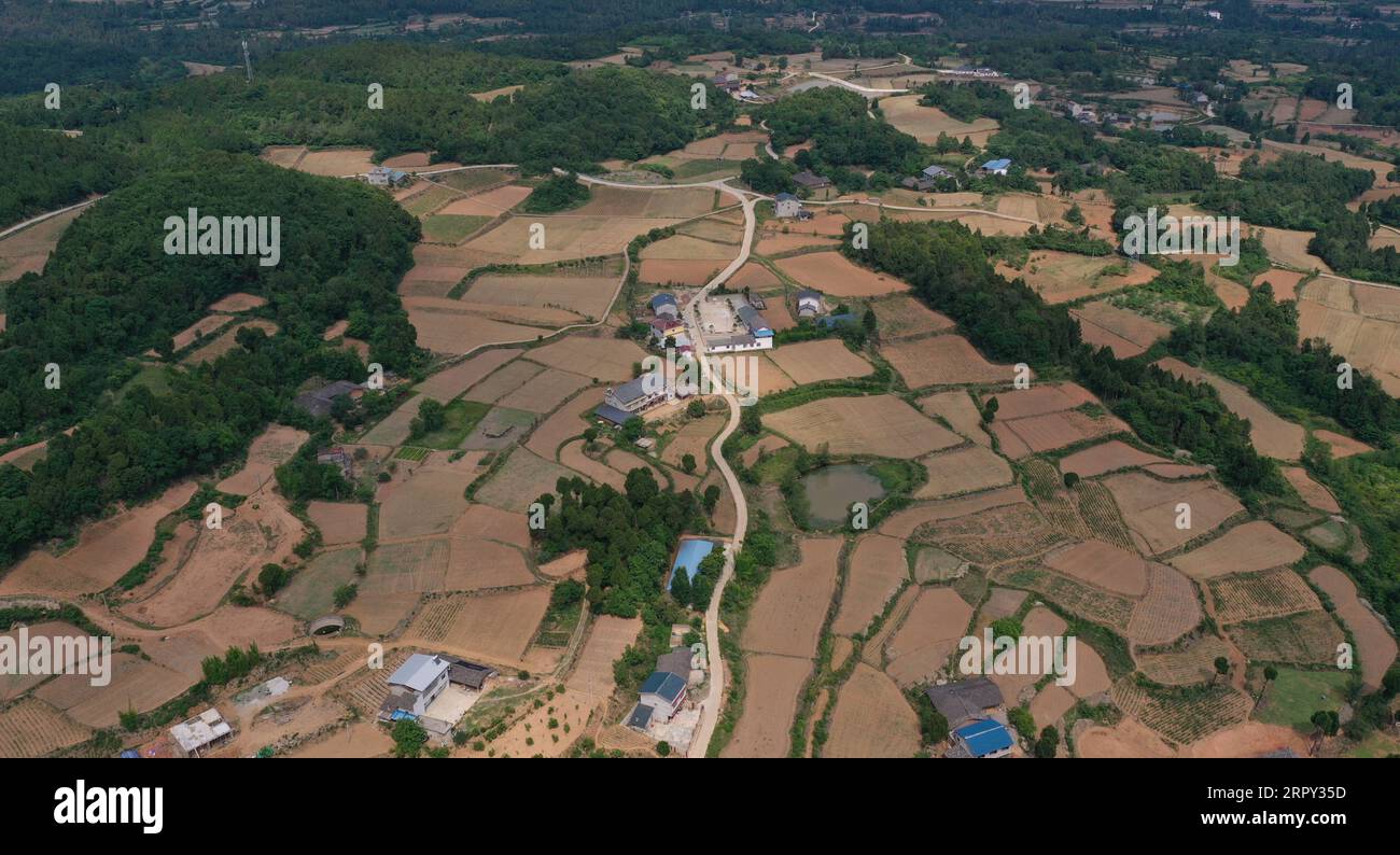 200612 -- JIANGE, June 12, 2020 -- Aerial photo taken on June 11, 2020 shows a view of the Longquan Village of Jiange County in Guangyuan, southwest China s Sichuan Province.  CHINA-SICHUAN-JIANGE-SEEDLING PLANTING CN LixMengxin PUBLICATIONxNOTxINxCHN Stock Photo