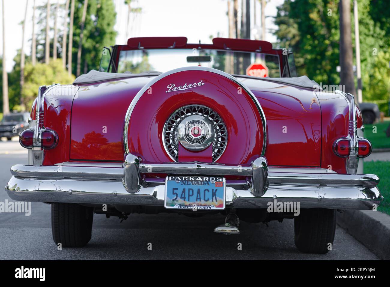 Classic car, Packard Caribbean, convertible car, rear view, shown parked in a residential area. Stock Photo