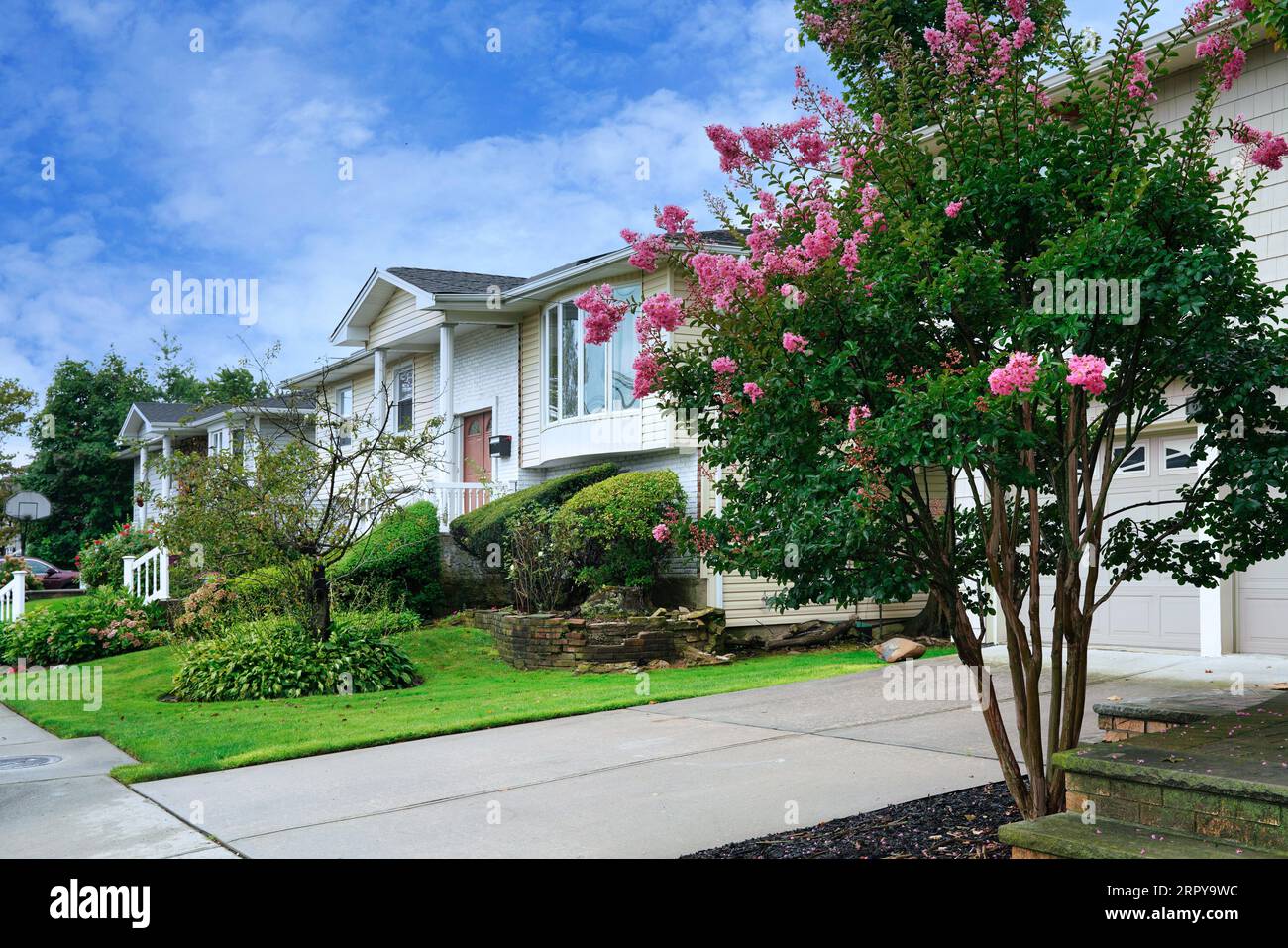 Suburban street with large detached houses and front gardens Stock Photo