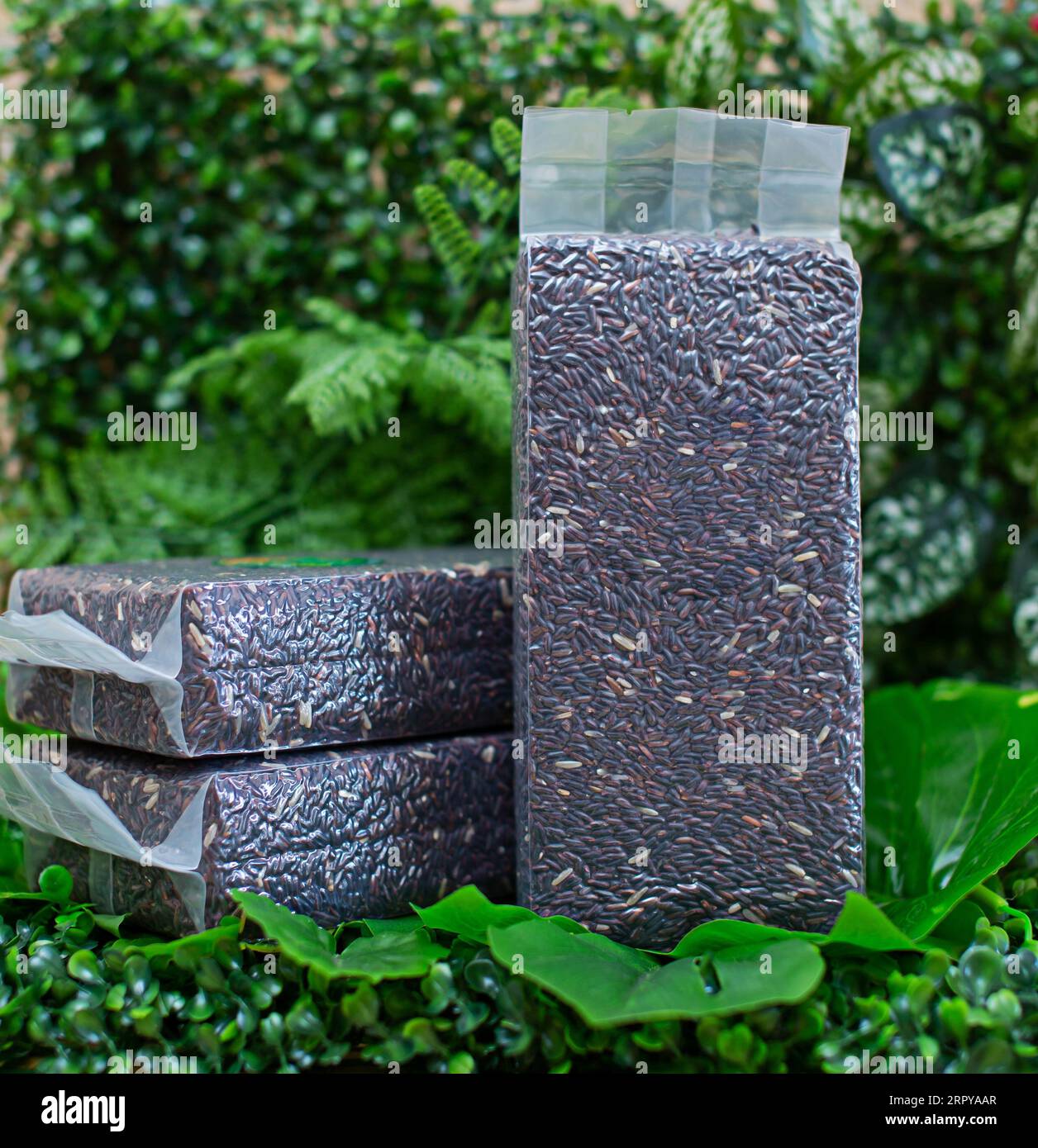 Black rice in a plastic vacuum sealed bag. packaging mockup collection