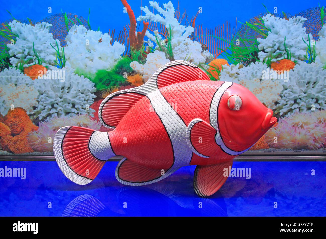 Model of fish hi-res stock photography and images - Alamy