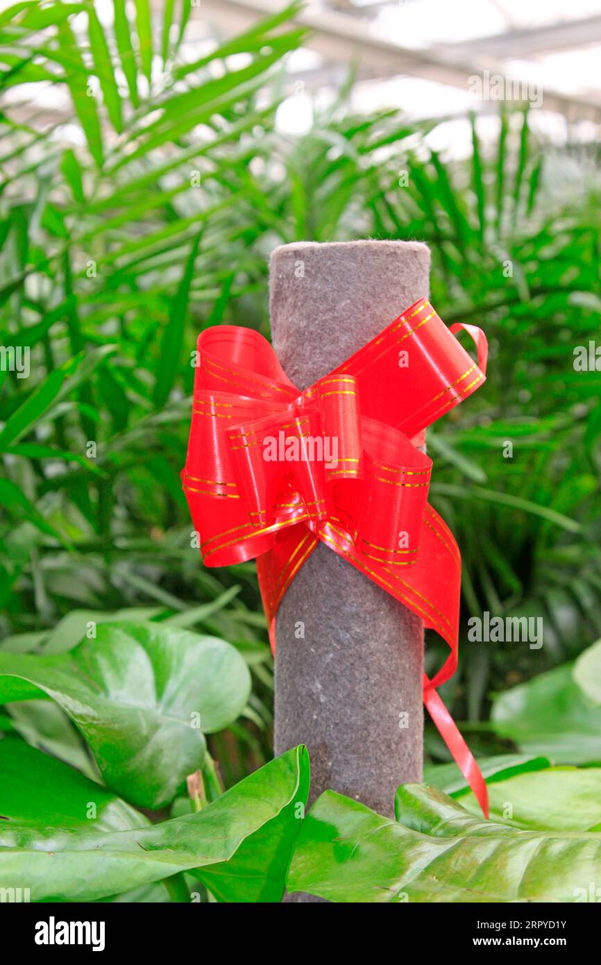 Timber ribbon hi-res stock photography and images - Alamy