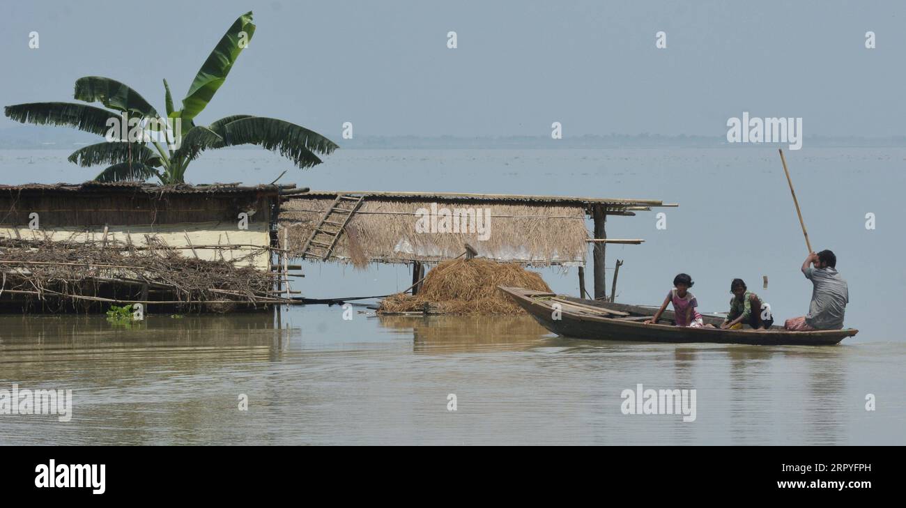 200630 -- ASSAM, June 30, 2020 Xinhua -- A man rows a boat in the flood waters at a flood-affected village in Kamrup district in India s northeastern state of Assam, on June 30, 2020. Many districts of India s northeastern state of Assam were affected by heavy rains recently. Str/Xinhua INDIA-ASSAM-HEAVY RAIN PUBLICATIONxNOTxINxCHN Stock Photo