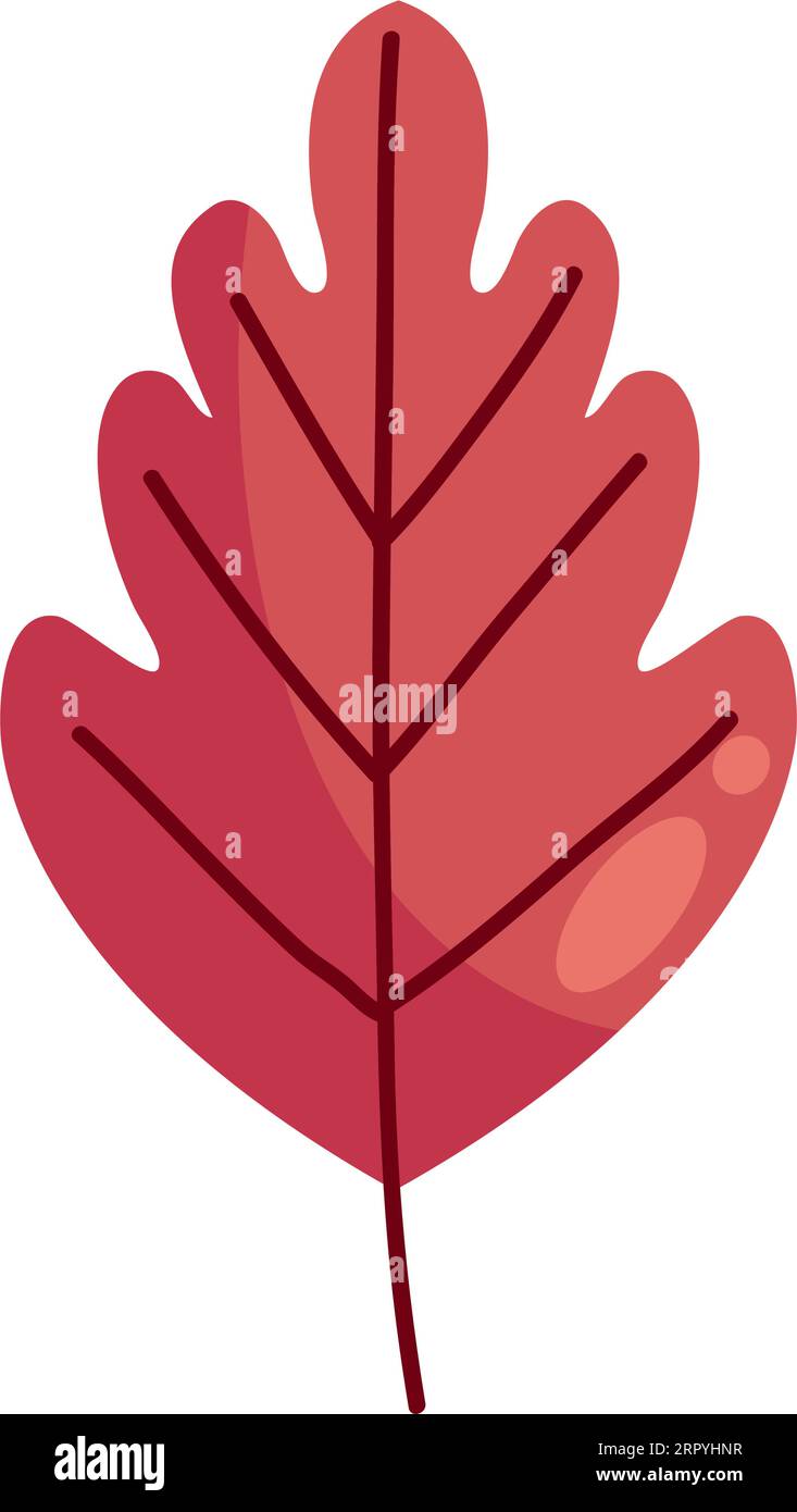 autumn leaf nature icon Stock Vector Image & Art - Alamy