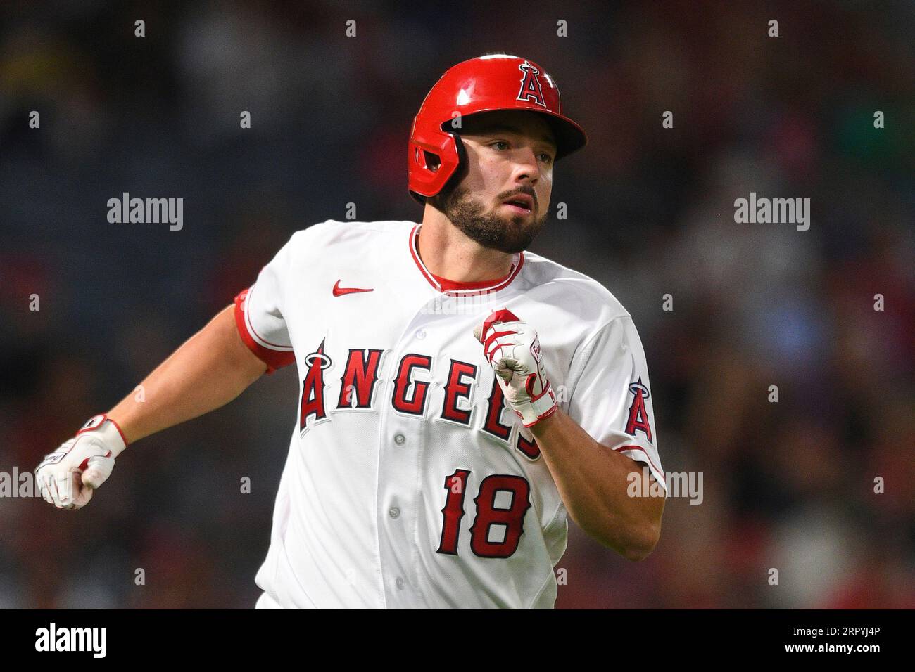 Angels PR on X: Nolan Schanuel has hit safely in each of his