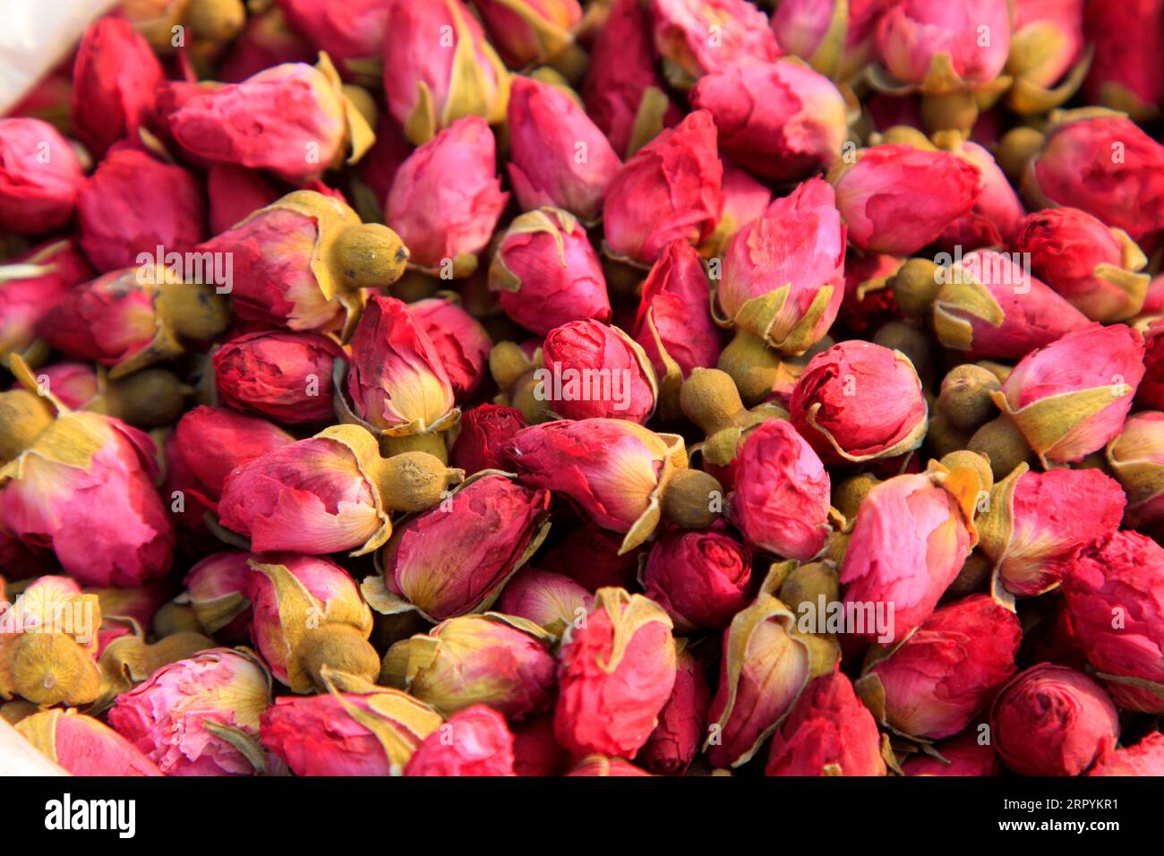 Chinese herbal medicine drying roses, closeup of photo Stock Photo