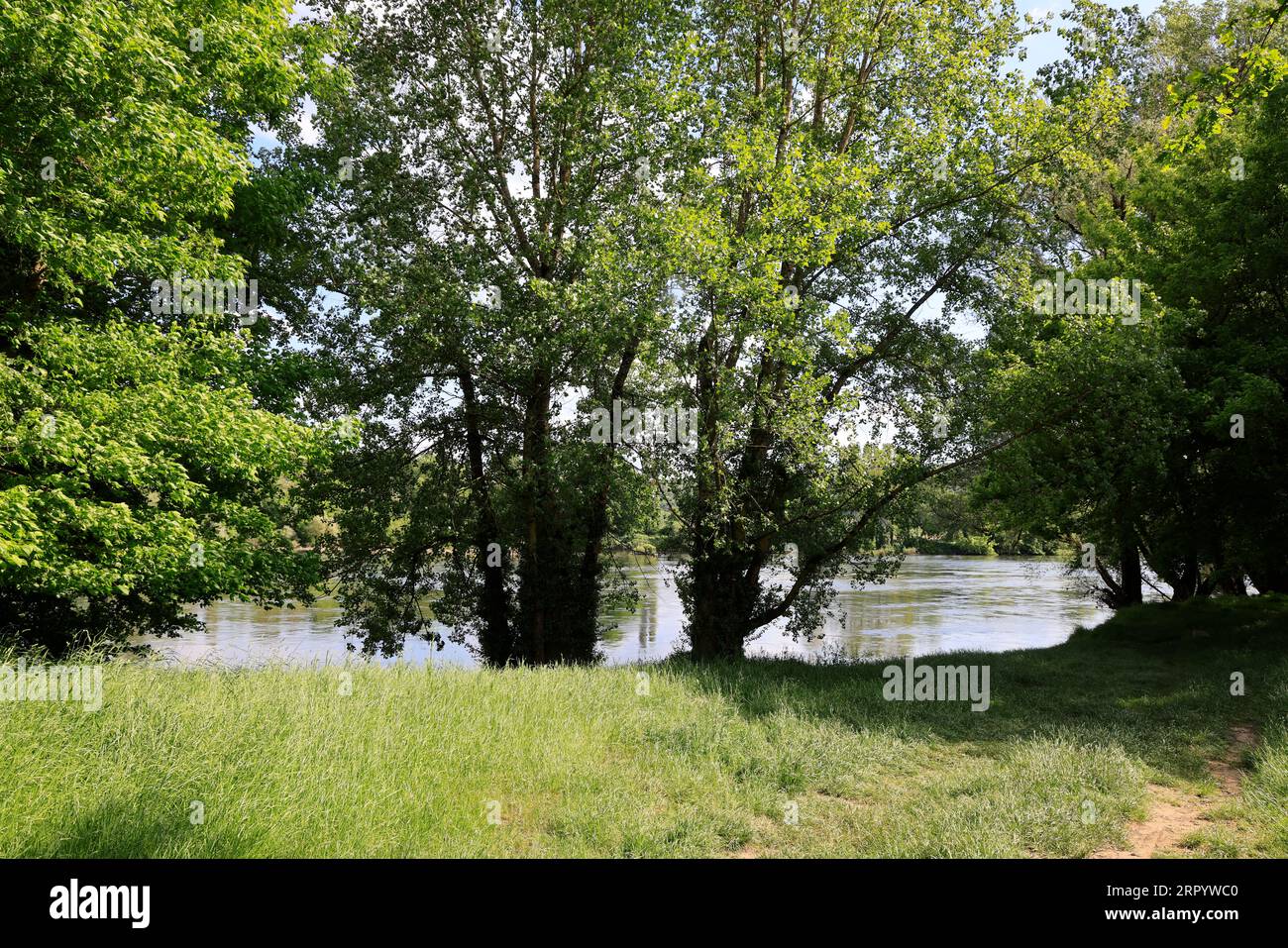 La Dordogne coule dans le Périgord noir. Rivière, eau, nature, environnement, campagne, calme et ruralité. Périgord noir, Dordogne, France, Europe Stock Photo