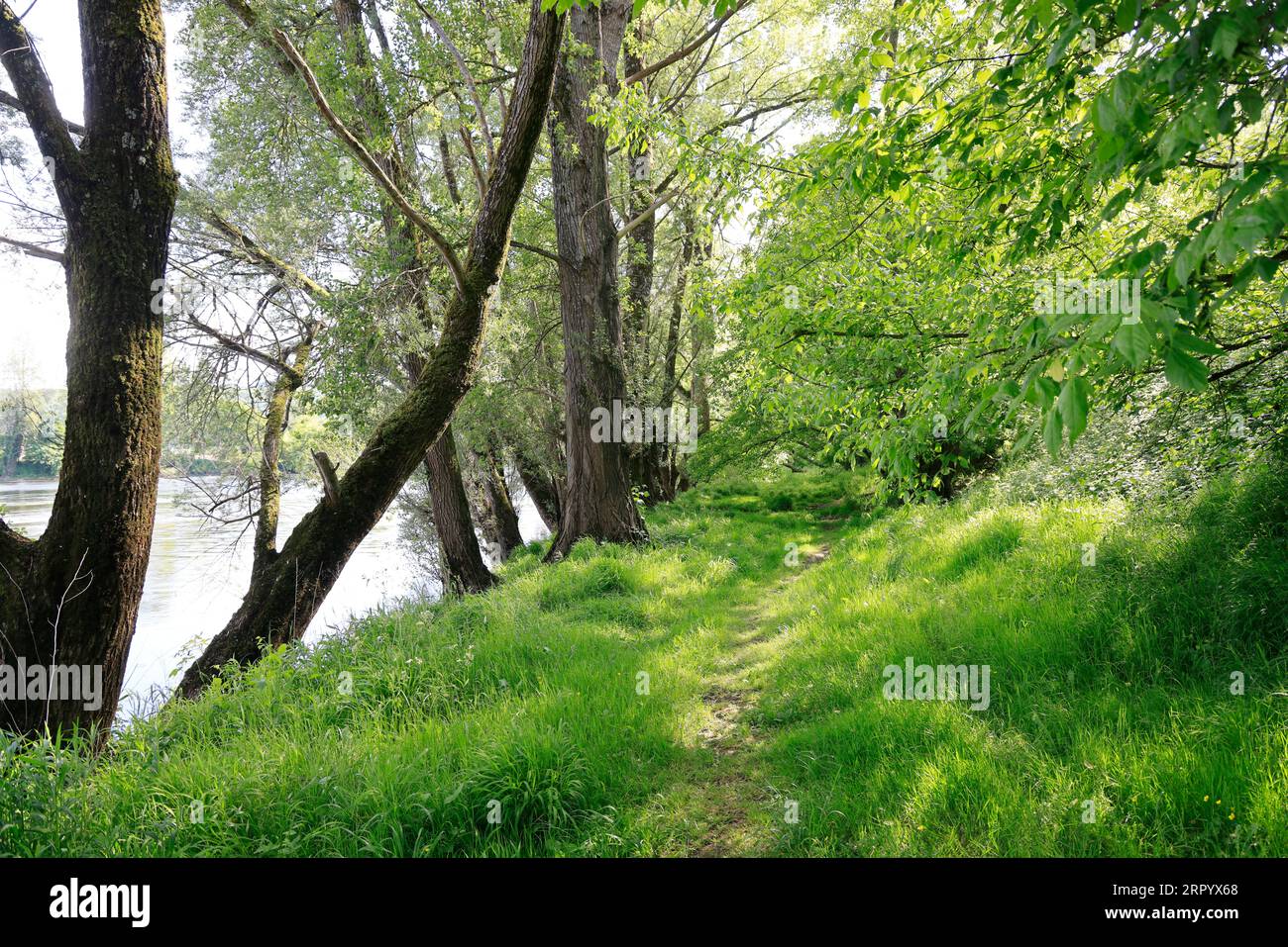 La Dordogne coule dans le Périgord noir. Rivière, eau, nature, environnement, campagne, calme et ruralité. Périgord noir, Dordogne, France, Europe Stock Photo