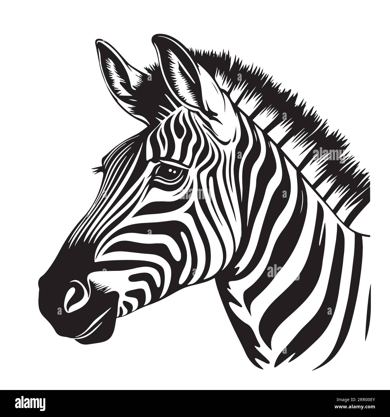 Zebra Head Sketch Hand Drawn Graphic Safari Animals Vector Stock Vector