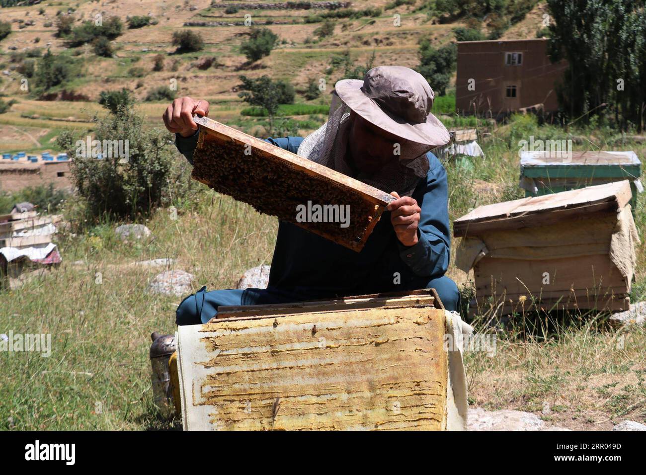 Andarab hi-res stock photography and images - Alamy